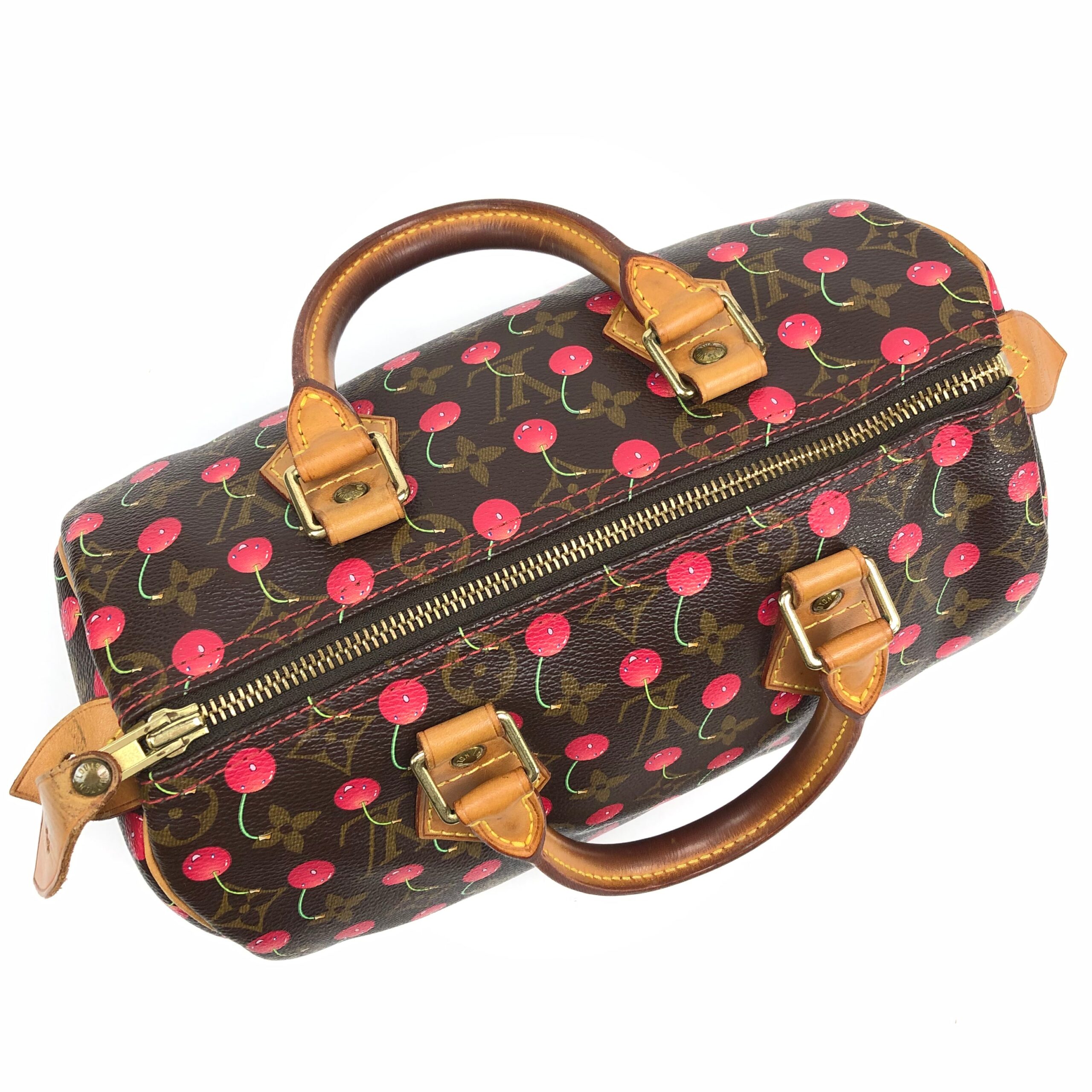 LOUIS VUITTON CHERRY TAKASHI MURAKAMI SPEEDY 25 - Image 15