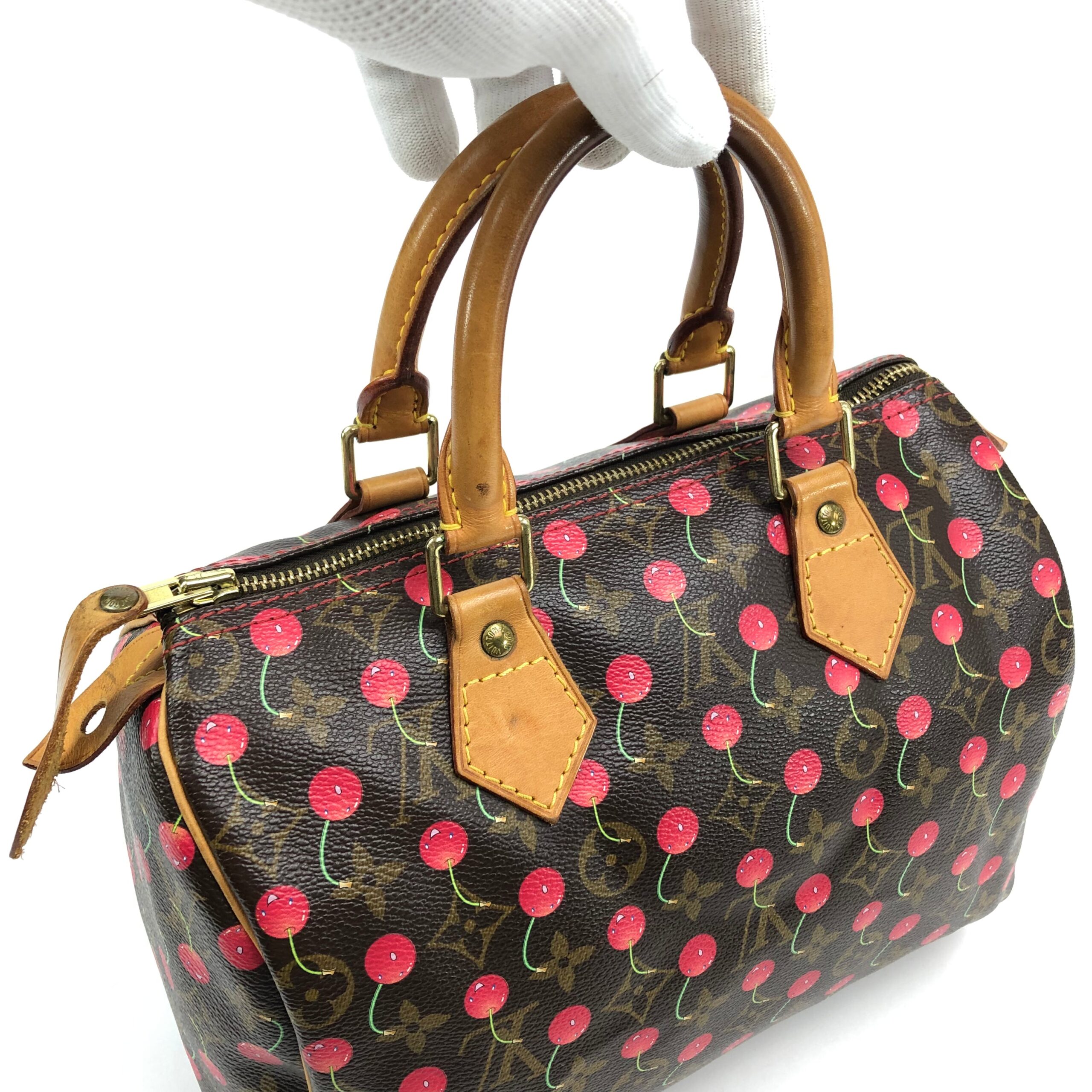 LOUIS VUITTON CHERRY TAKASHI MURAKAMI SPEEDY 25 - Image 14